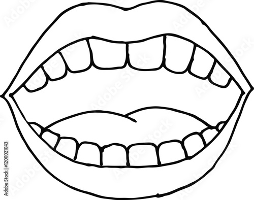 teeth