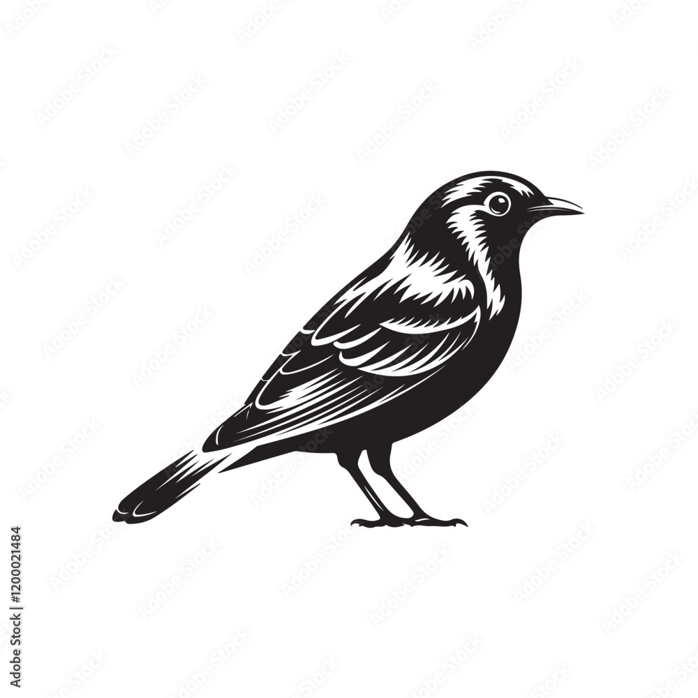 Fototapeta premium Bird Vector
