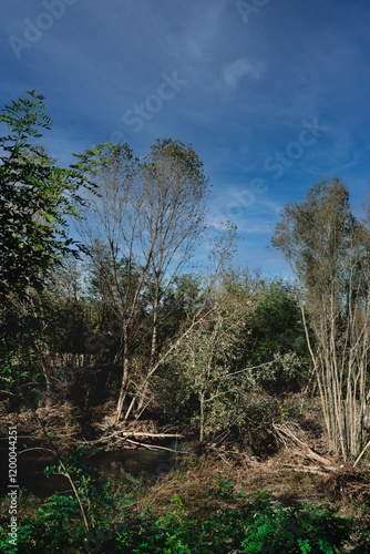 Il silenzio degli innocenti