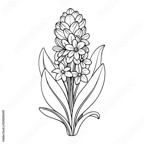 Continuous one line drawing beauty fresh hyacinthus for home wall decor poster art.  Hyacinth flower