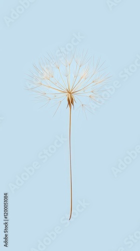 Wallpaper Mural A single dandelion seed head against a light blue background Torontodigital.ca