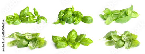 Fresh basil leaves isolated on white, set