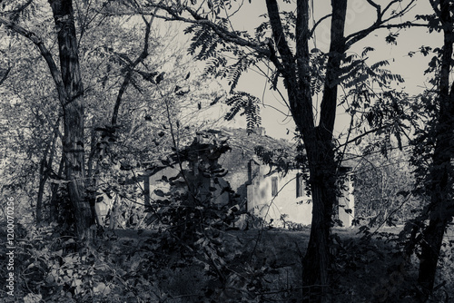 Scorcio
