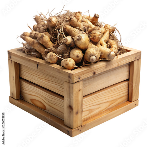 Organic Fresh Jerusalem Artichokes Wooden Crate Harvest food farm life diet soil pale      photo