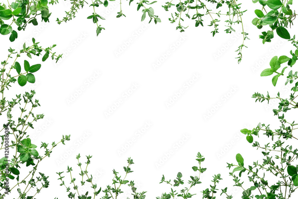 Fresh herbs create a vibrant border for crafting, cooking, or decorating in a kitchen setting Fresh herbs create a vibrant border for crafting, cooking, or decorating in a kitchen setting