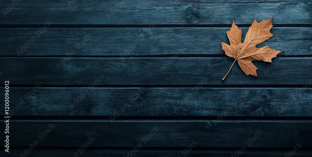 Single brown autumn leaf on dark blue wood. Single brown autumn leaf on dark blue wood.