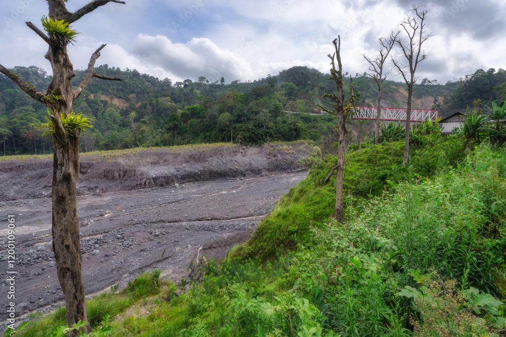 A captivating scene shows vibrant green vegetation by a winding gravel lava path from Semeru volcano, under a dynamic cloudy sky, inviting exploration in picturesque environment, East Java, Indonesia