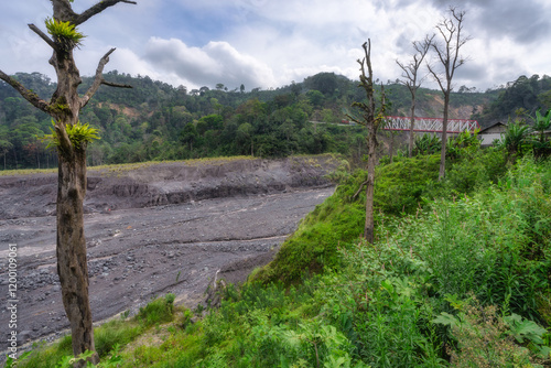 Obraz na płótnie A captivating scene shows vibrant green vegetation by a winding gravel lava path from Semeru volcano, under a dynamic cloudy sky, inviting exploration in picturesque environment, East Java, Indonesia w salonie
