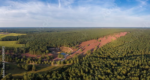 Obraz na płótnie Aerial view of heather fields on the Misselhorn Heath, Sudheide Nature Park w salonie