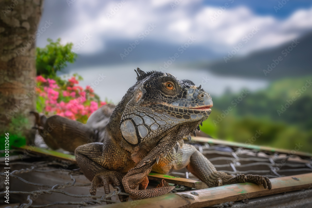 A breathtaking closeup captures an iguana leisurely basking in the warm sunlight, framed by a picturesque backdrop of vibrant, lush greenery and colorful flowers, Bali, Indonesia