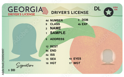 Georgia driver's license. Person driver license. Female picture silhouette driver's license isolated on white background