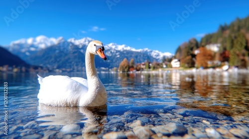 Fototapeta Naklejka Na Ścianę i Meble -  Graceful swan gliding on a tranquil lake surrounded by stunning mountains