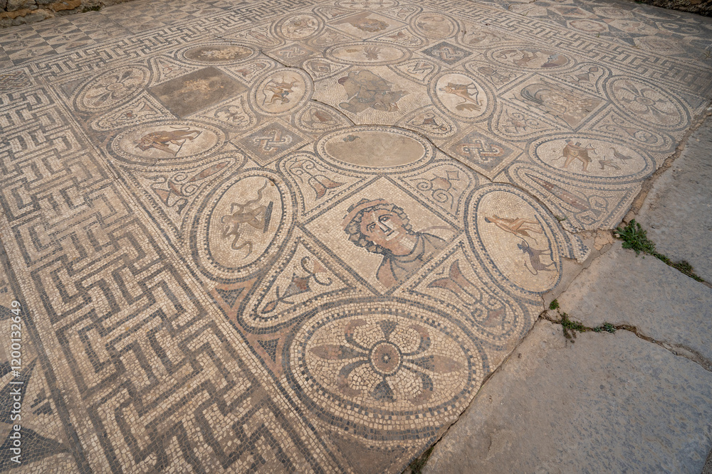 Floor mosaic, Volubilis, Berber-Roman city in Morocco Floor mosaic, Volubilis, Berber-Roman city in Morocco