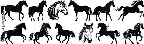Horse silhouettes set, stallion pack of vector silhouette design, isolated background