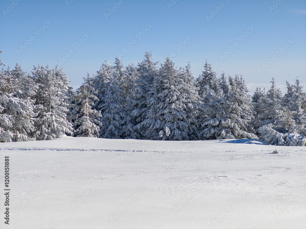 Winter Landscape of Vitosha Mountain, Bulgaria Winter Landscape of Vitosha Mountain, Bulgaria
