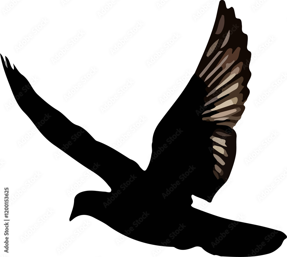 silhouette of a bird, silhouette of a dove, illustration of a flying bird, dove of peace, dove in flight silhouette of a bird, silhouette of a dove, illustration of a flying bird, dove of peace, dove in flight