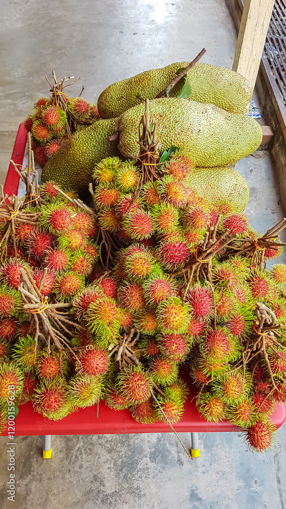 Fototapeta premium Collection of rambutan and jackfruit are displayed on a red surface of cart. Bunches of rambutan, with their characteristic red and green spiky exteriors. Exotic fruit market in Melaka, Southeast Asia