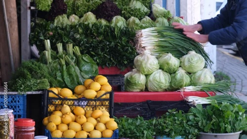 fruit shop and grocery 