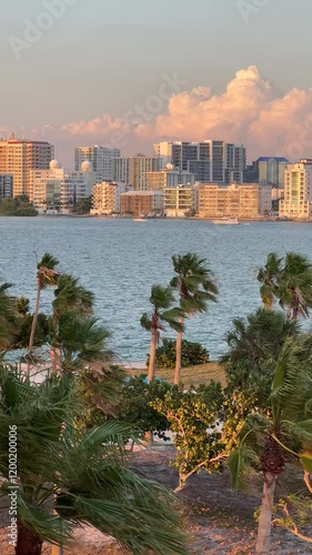 Wallpaper Mural Downtown Sarasota Florida with Golden Gate Point from John Ringling Causeway bridge, yachts, palms and hotels, pink skies during beautiful Florida sunset Torontodigital.ca
