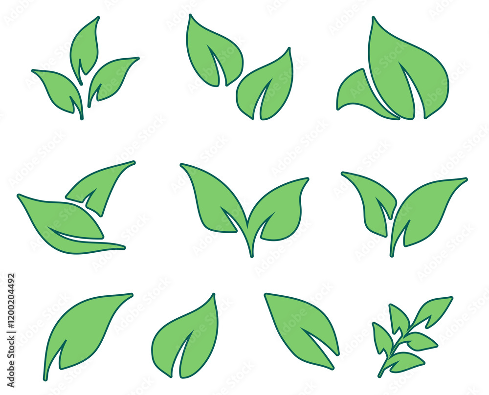 A set of vector illustrations of leaves in an ecological style. Types of leaves for design, banners, logos related to nature, ecology and sustainable development A set of vector illustrations of leaves in an ecological style. Types of leaves for design, banners, logos related to nature, ecology and sustainable development