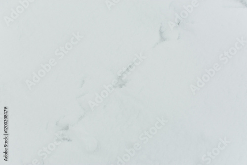 Snow tracks animals. Abstract natural winter background. Top view of the trail from the tracks of wild animals. The concept of cold, hunting, observing and exploring nature. Full frame abstract Photo photo