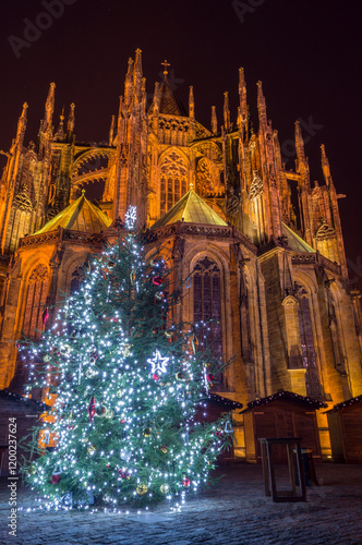 Christmas Tree at Prague Castle