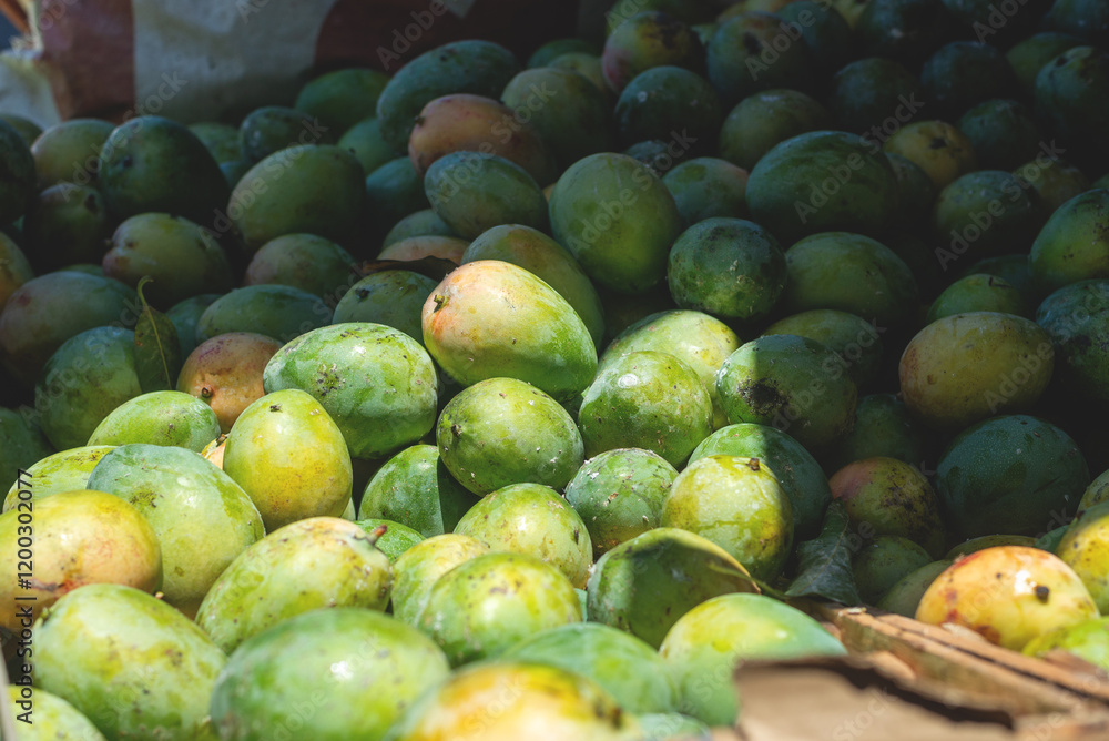 Mangoes for sale at a market. Tropical, juicy, aromatic and nutritious fruit rich in vitamins, minerals and fiber. Mangoes for sale at a market. Tropical, juicy, aromatic and nutritious fruit rich in vitamins, minerals and fiber.