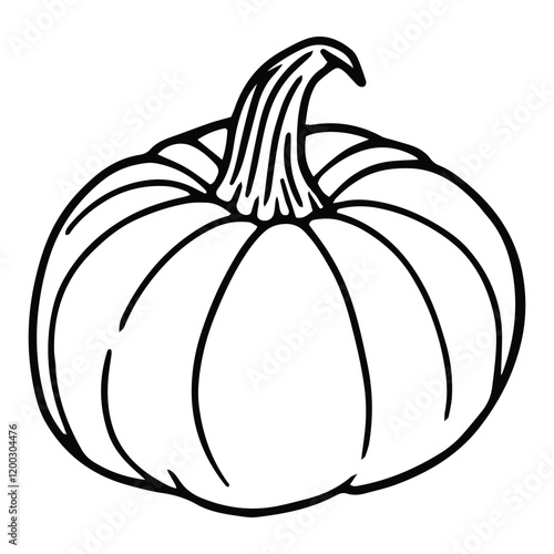 Pumpkin and Jack O Lantern Hand Drawn  Spooky and Cute Vector