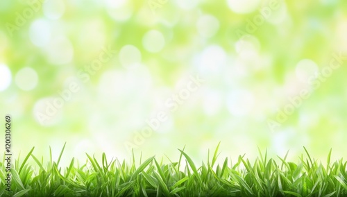 Outdoors, a green lawn with fresh grass serves as a nature-inspired spring background texture, featuring a blurred backdrop with additional space. The scene includes the landscaping of a parking