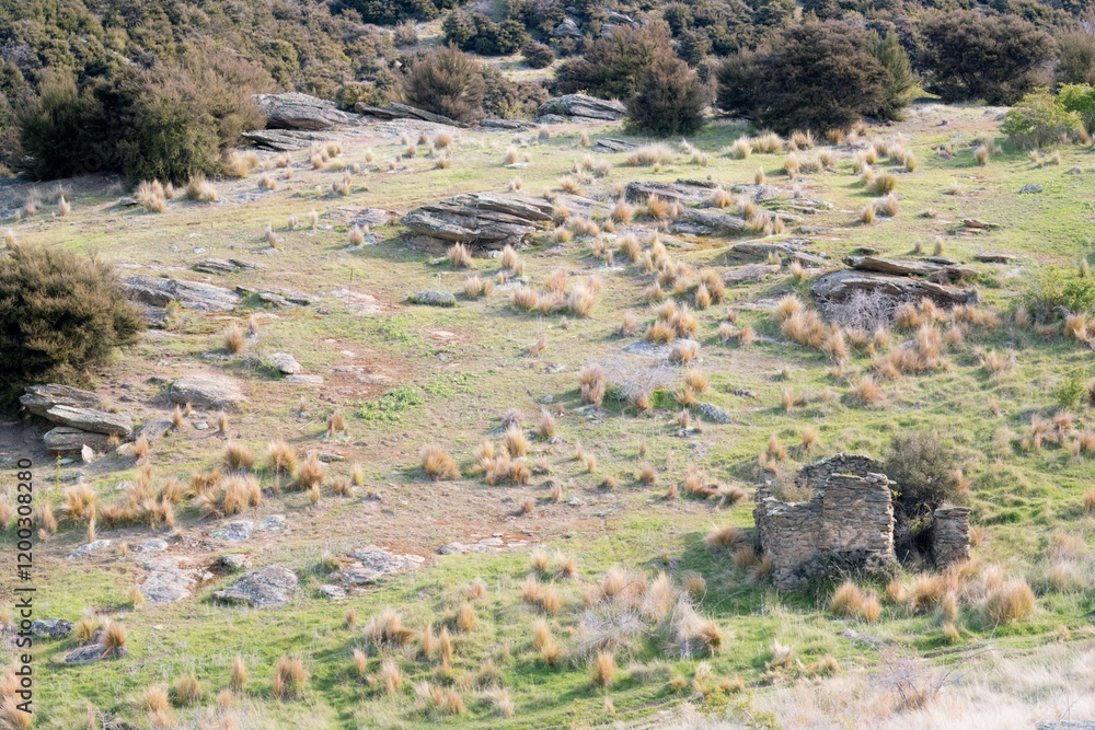 Rugged Landscape with Demolished Ruins of Welshtown, New Zealand Rugged Landscape with Demolished Ruins of Welshtown, New Zealand