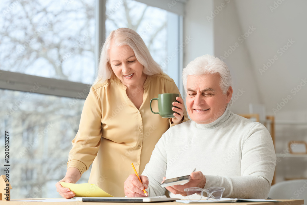 Senior man with his wife calculating utility bills at home Senior man with his wife calculating utility bills at home