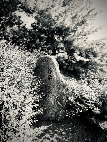 Wall Mural Zen rock garden