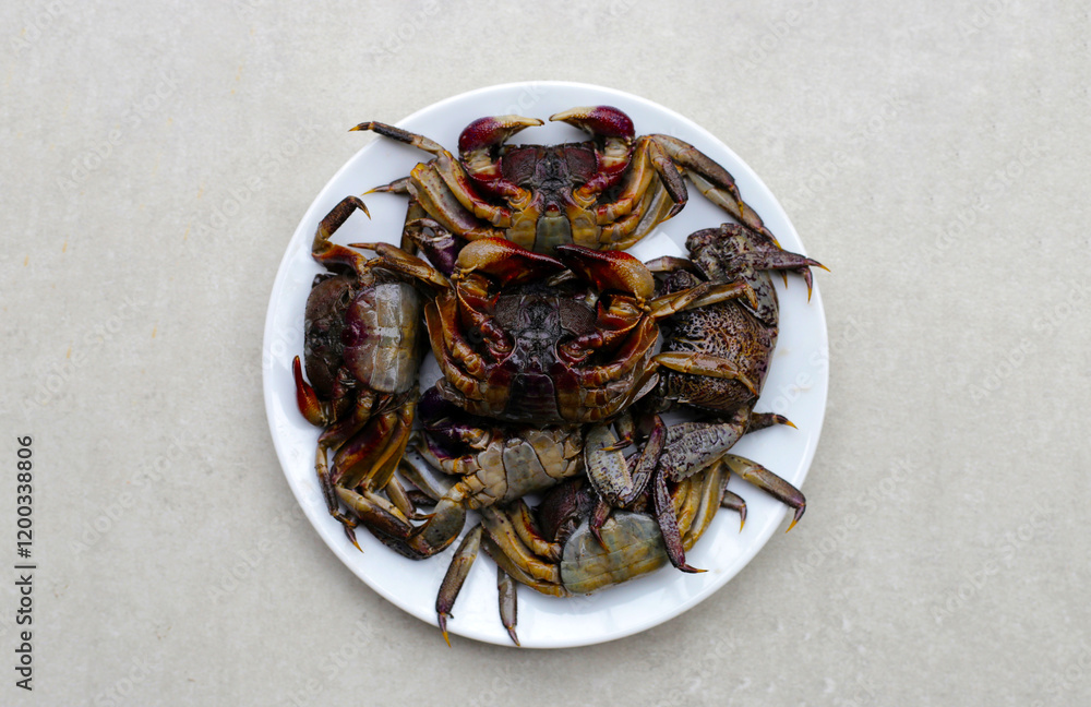 Preserved crabs for ingredient thai food Preserved crabs for ingredient thai food