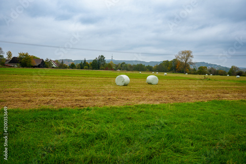 Strohballen eingewickelt in Folie auf der Weide photo