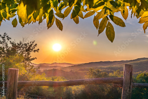 landschaft mit bergen, blättern und strahlende sonne im süden am abend photo