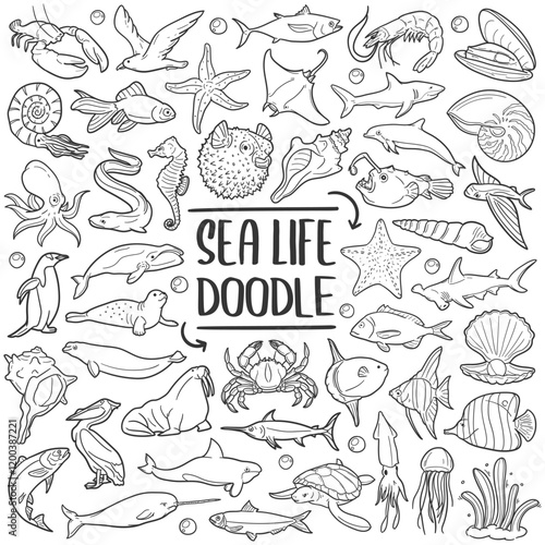Sea Animals Doodle Line Art Illustration. Hand Drawn Vector Clip Art Stamps.