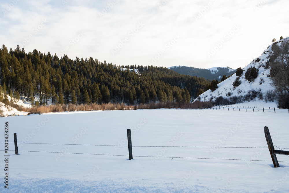 Fototapeta premium winter landscape in the mountains