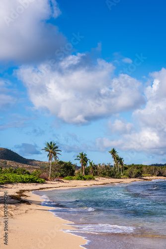 The private beach at The Buccaneer Hotel in St Croix Virgin Islands offers white sand, clear turquoise water, and secluded nooks. photo