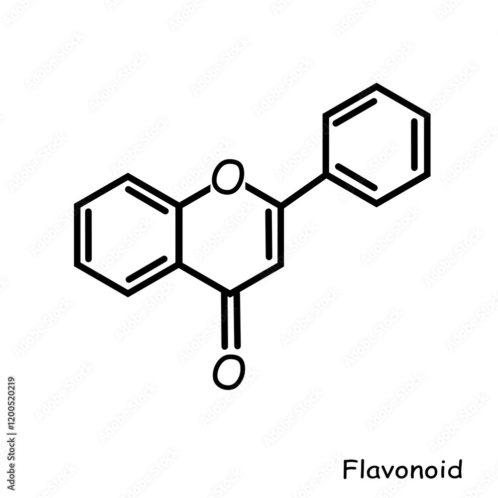 Fototapeta premium Chemistry Compound, Chemical structure : flavonoid