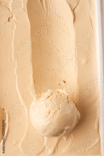 scoop of vanilla ice cream on a bed of ice cream on white bowl, macro,  flat lay