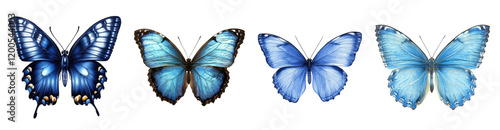 A stunning collection of blue butterflies showcasing intricate patterns and vibrant hues in various shades of blue.