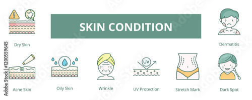Skin Condition Lineal Color Banner Web Icon Set Vector Illustration, Dry Skin Acne Skin Oily Skin UV Protection Stretch Mark Dark Spot Dermatitis