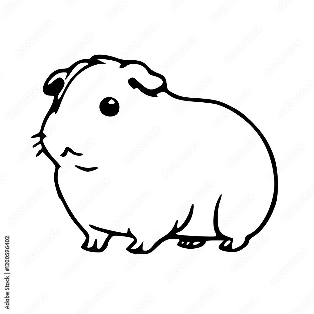 Cartoon of Guinea Pig, Black & White Cartoon of Guinea Pig, Black & White