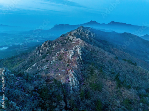 Spring and dawn view of pink azalea flowers and rock peaks against fog at Jujaksan Mountain near Gangjin-gun, South Korea photo