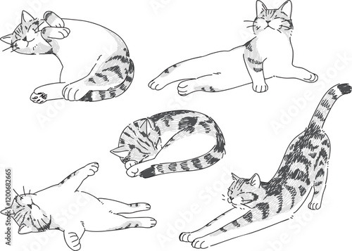 眠っているネコの手描きイラストセット