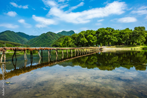 Panun-ri, Yeongwol-gun, Gangwon-do, South Korea - May 25, 2024: Summer view of tourists walking on Seopdari Bridge and Pyeongchang River against trees and mountain photo