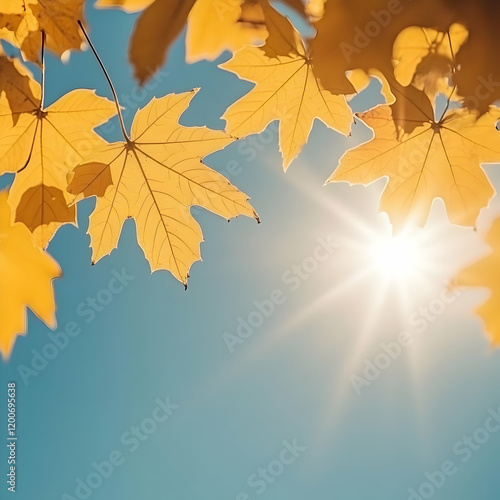 Golden Autumn Leaves Glow A...