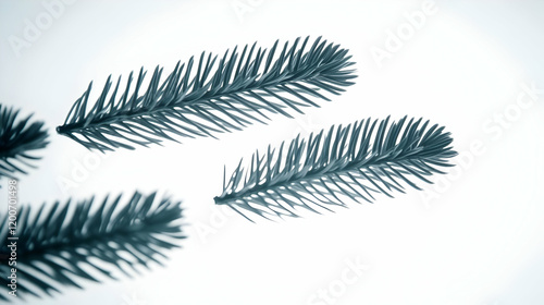 Three Teal-Tinted Evergreen...
