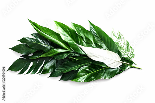 Tropical Green Leaves Arran...