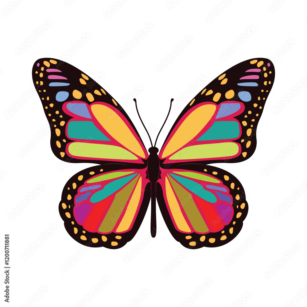 Hand drawn Rainbow Butterfly illustration vector Hand drawn Rainbow Butterfly illustration vector